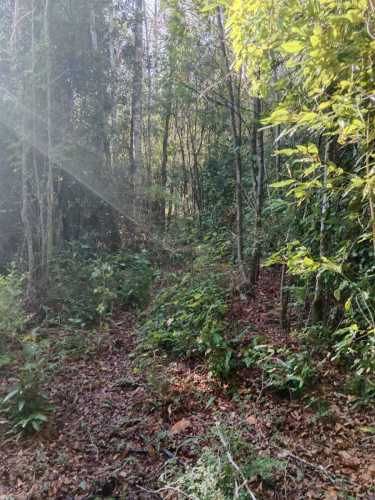 PARCELA Camino a Quilaco Km 4, Pucón