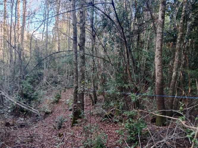 PARCELA Camino a Quilaco Km 4, Pucón