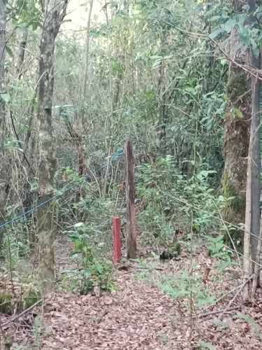 PARCELA Camino a Quilaco Km 4, Pucón