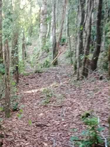 PARCELA Camino a Quilaco Km 4, Pucón