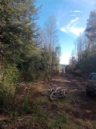 PARCELA Camino a Quilaco Km 4, Pucón