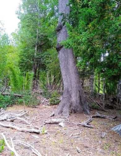 SITIO Parcelación Valle Escondido, sector Las Peinetas