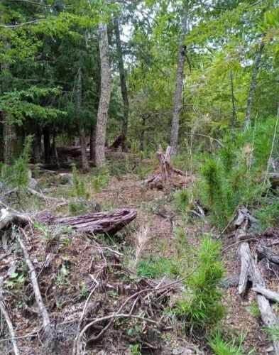 SITIO Parcelación Valle Escondido, sector Las Peinetas