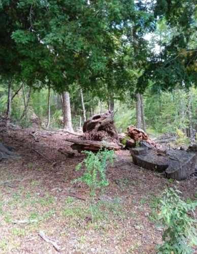 SITIO Parcelación Valle Escondido, sector Las Peinetas