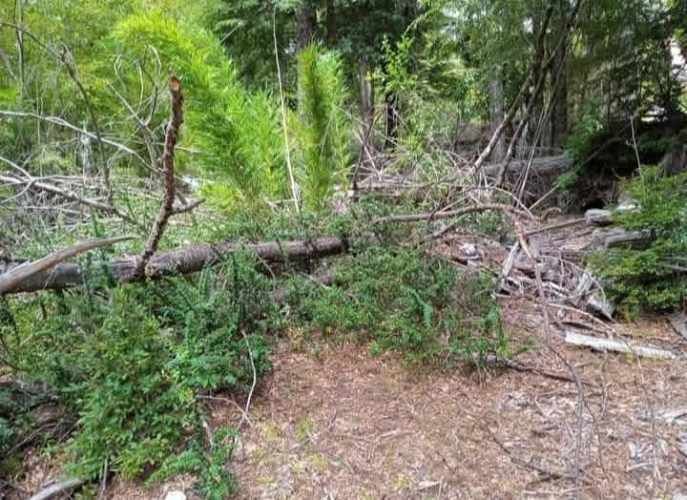 SITIO Parcelación Valle Escondido, sector Las Peinetas