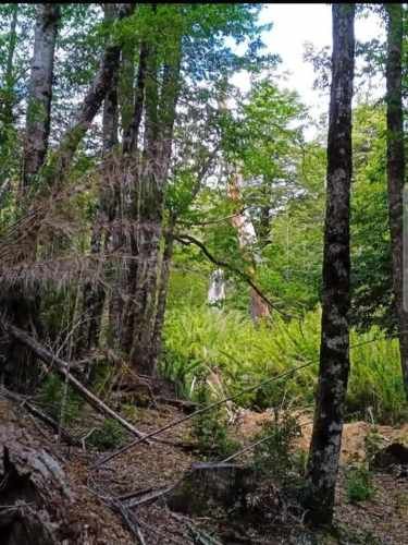 SITIO Parcelación Valle Escondido, sector Las Peinetas