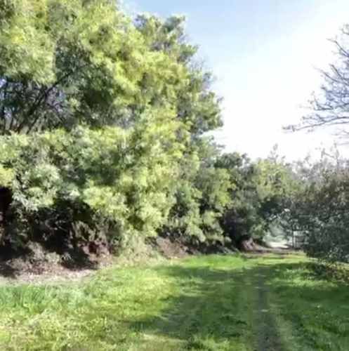 LOCAL COMERCIAL Sector Cerro Conunhuenu Km 3 Padre Las Casas