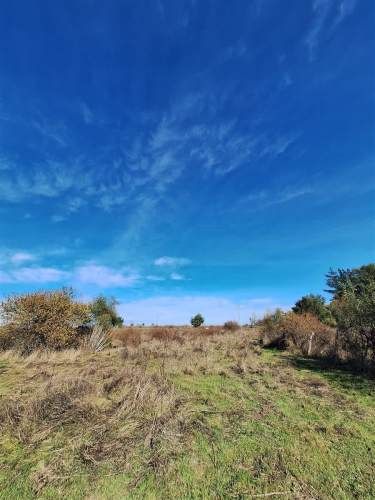 PARCELA Pantanillo, sector El Carmen, Laja