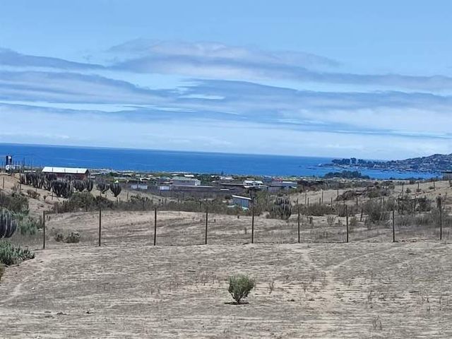 CASA SCL_CODIGO71290 Las Salinas de Tongoy