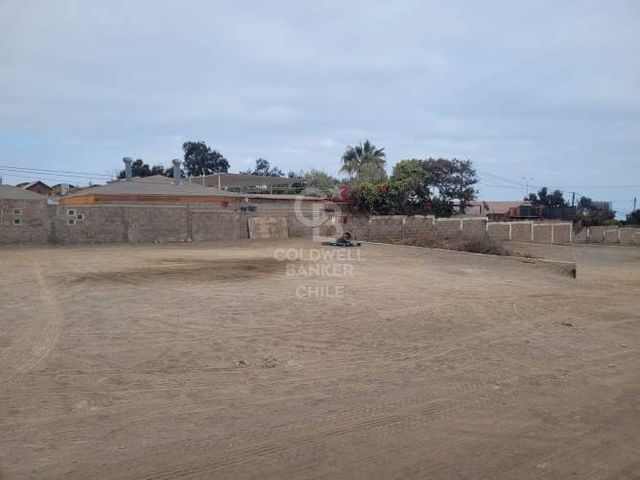 Arriendo Sitios Loteados, Sector Industrial La Chimba