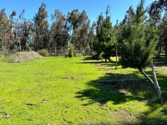 PARCELA Camino Maria Dolores, sector Las Quintas