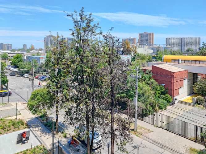 Til Til 1980 (1 Est /1 Bod) [826-1]