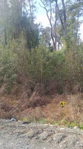 PARCELA CAMPO LINDO &quot;RUPANCO&quot;