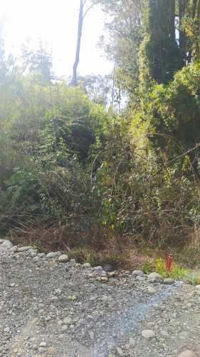 PARCELA CAMPO LINDO &quot;RUPANCO&quot;