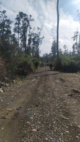 PARCELA CAMPO LINDO &quot;RUPANCO&quot;