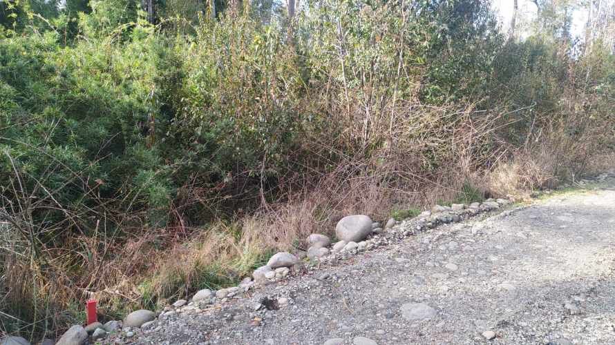 PARCELA CAMPO LINDO &quot;RUPANCO&quot;