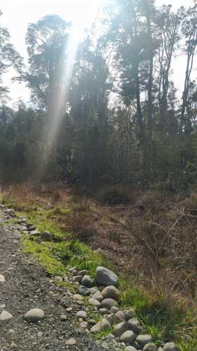 PARCELA CAMPO LINDO &quot;RUPANCO&quot;