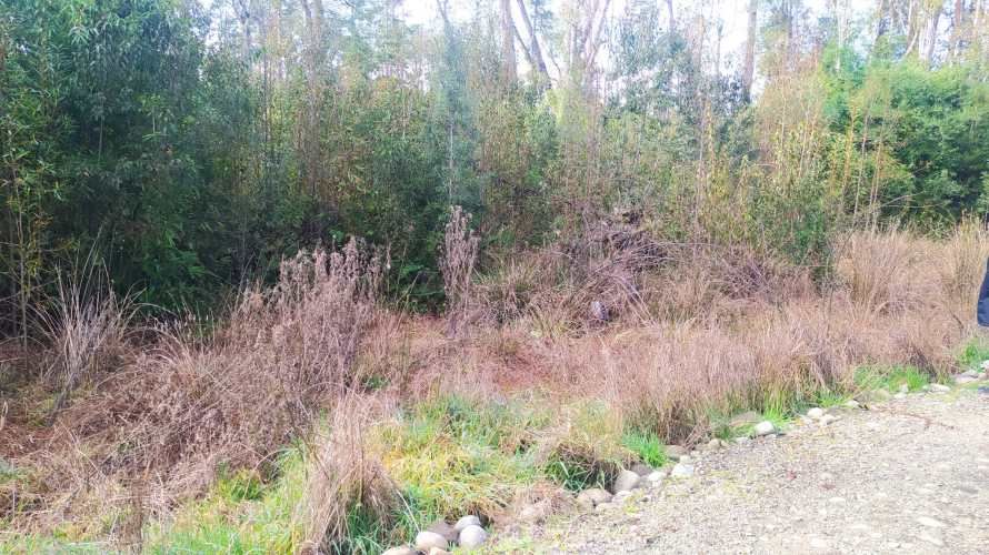 PARCELA CAMPO LINDO &quot;RUPANCO&quot;