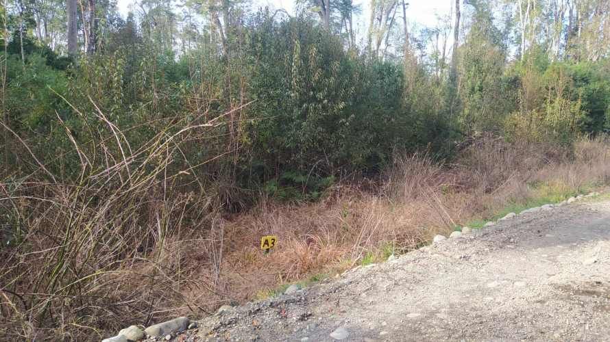 PARCELA CAMPO LINDO &quot;RUPANCO&quot;