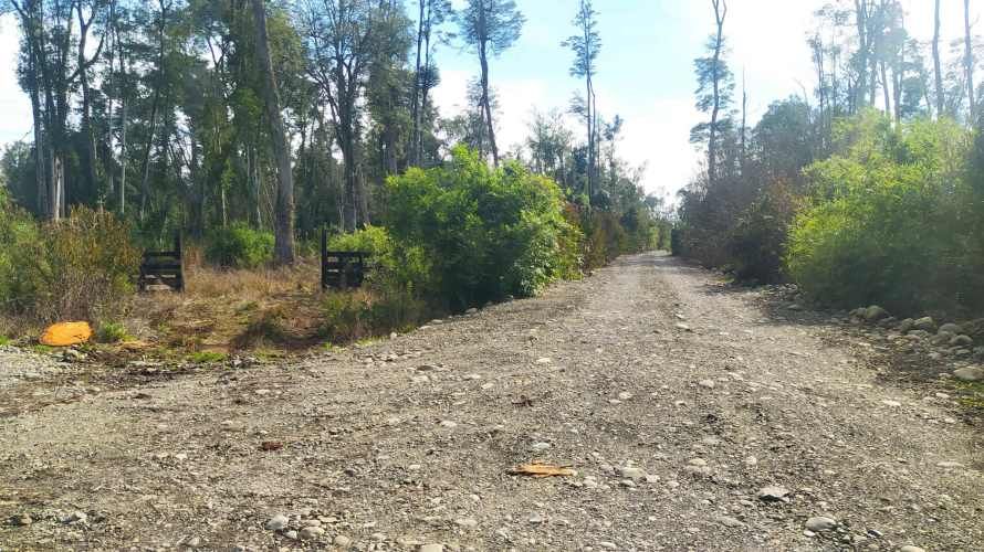 PARCELA CAMPO LINDO &quot;RUPANCO&quot;