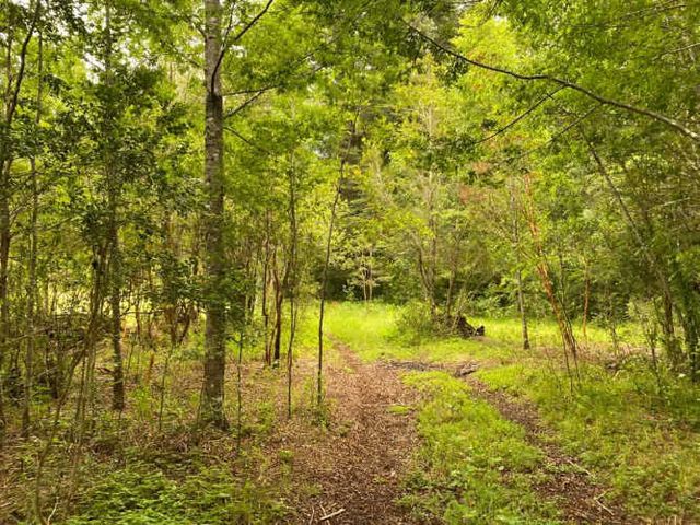 PARCELA los calabozos