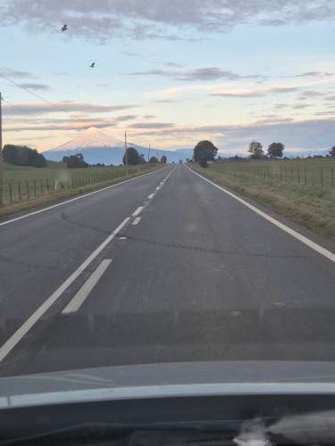 VENTA PARCELA 5000MTS Puerto Octay