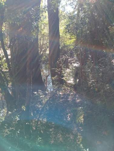 PARCELA CON ESTERO Y BOSQUE NATIVO DE LOMAJE SUAVE CON HERMOSA VISTA