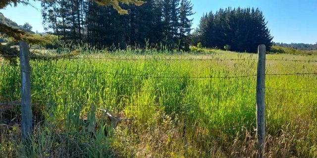 AGRICOLA Playa Topocalma - Puertecillo