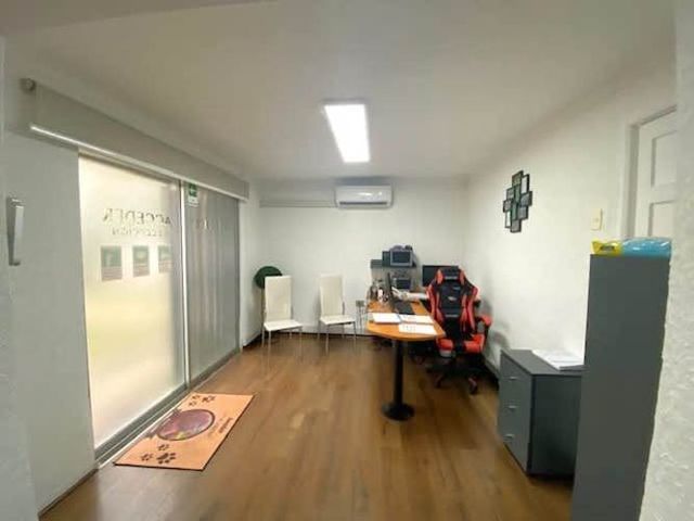 CASA Dragones de La Reina/ Lynch Sur