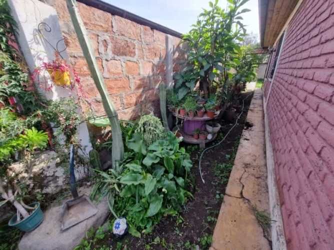 Casa solida 1 piso, gran patio, Padre Hurtado