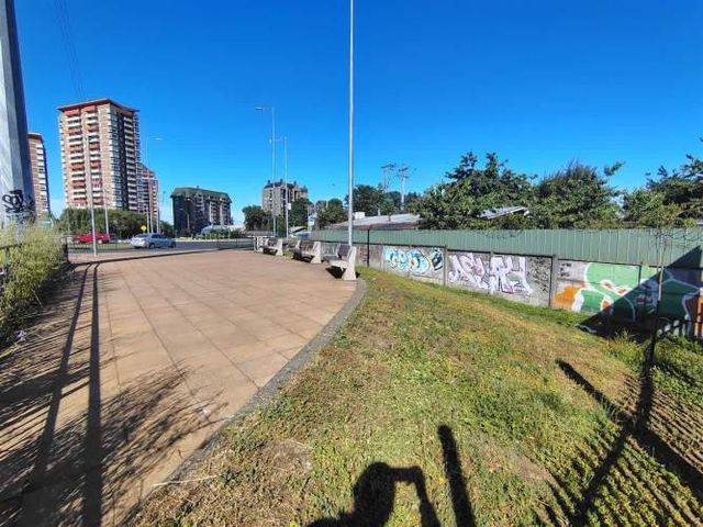 SITIO Pedro de Valdivia