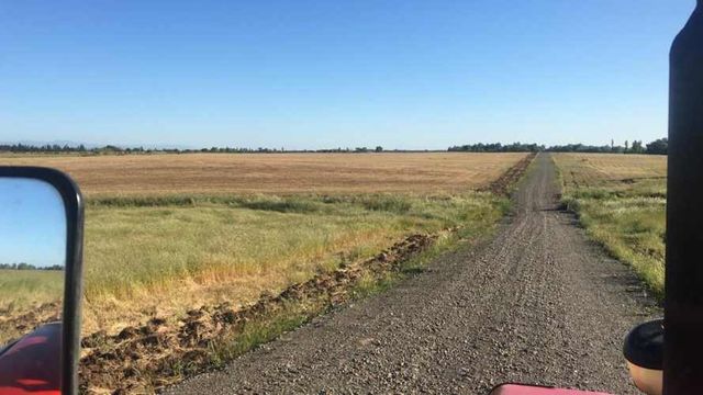 Parcelas en Parral con acceso controlado