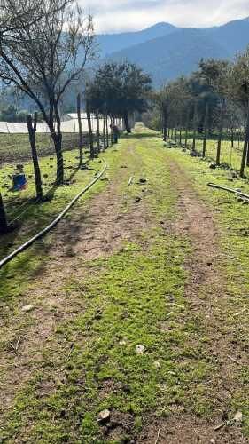 Se vende Parcela de 2.6 hectáreas