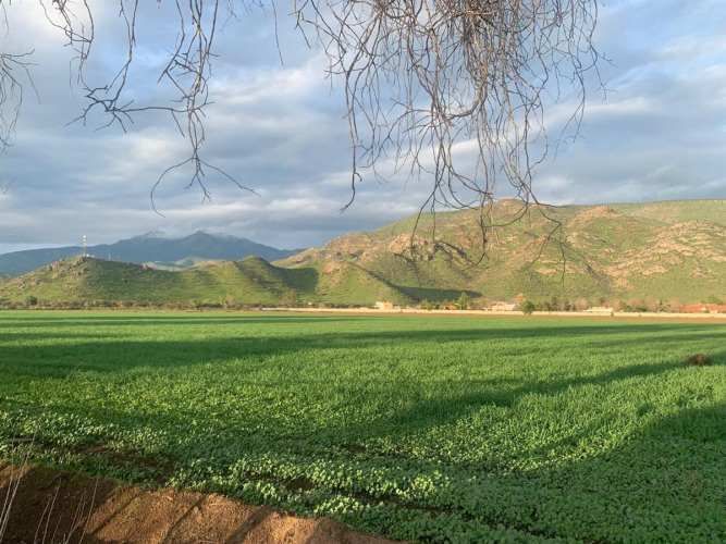 SITIO Increible paño urbano colindante con salida norte de Las Brisas de Chicureo