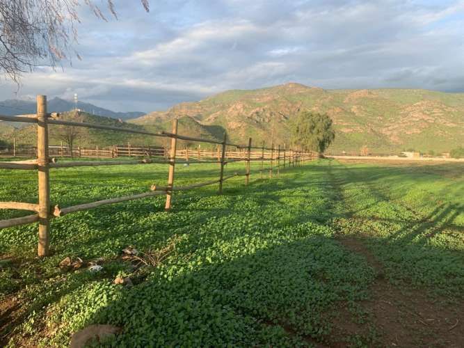 SITIO Increible paño urbano colindante con salida norte de Las Brisas de Chicureo