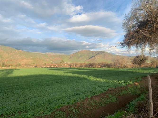 SITIO Increible paño urbano colindante con salida norte de Las Brisas de Chicureo