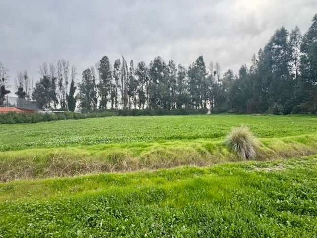 EXCELENTE PARCELA DE 5OOOM2 LONQUEN NORTE