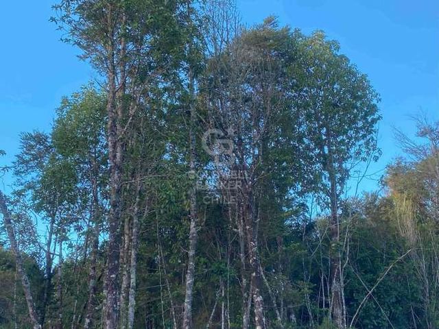 Parcela con Bosque Nativo en condominio cerrado