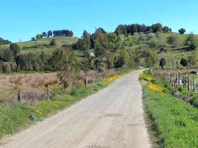 Hermosa Propiedad de 4,9 Hectáreas con Potencial Agrícola