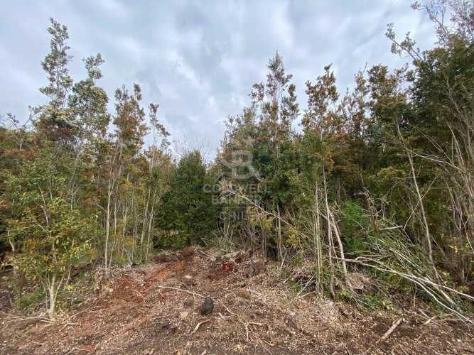 Excelente conectividad | acceso pavimentado.