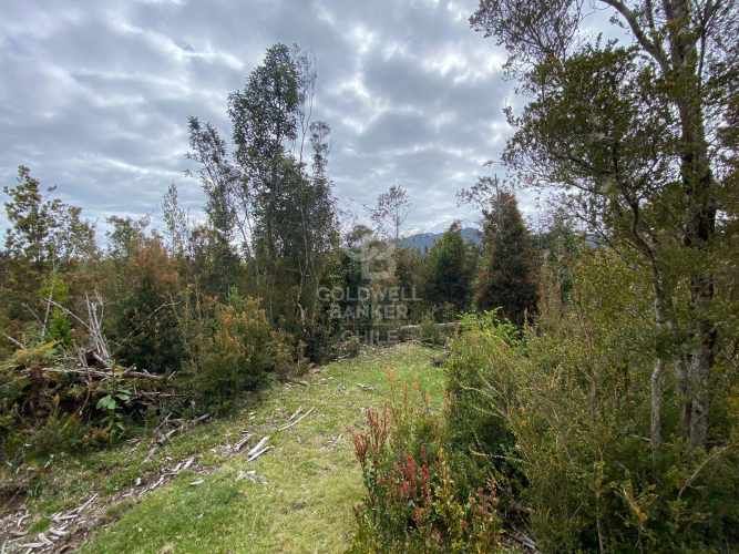 Excelente conectividad | acceso pavimentado.