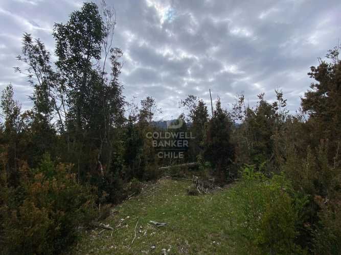 Excelente conectividad | acceso pavimentado.