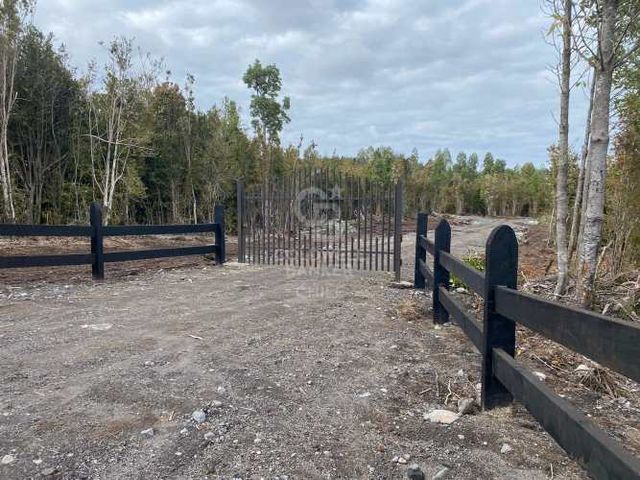 Excelente conectividad | acceso pavimentado.