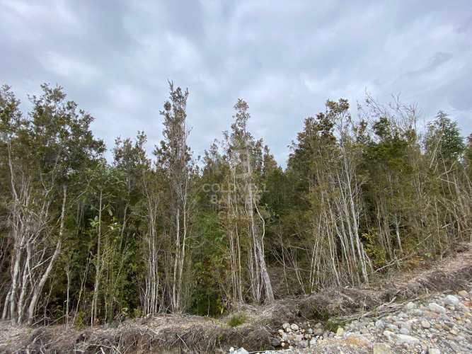 Excelente conectividad | acceso pavimentado.