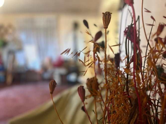 VENTA CASA CON POTENCIAL COMERCIAL CALLE EL LITRE ALGARROBO