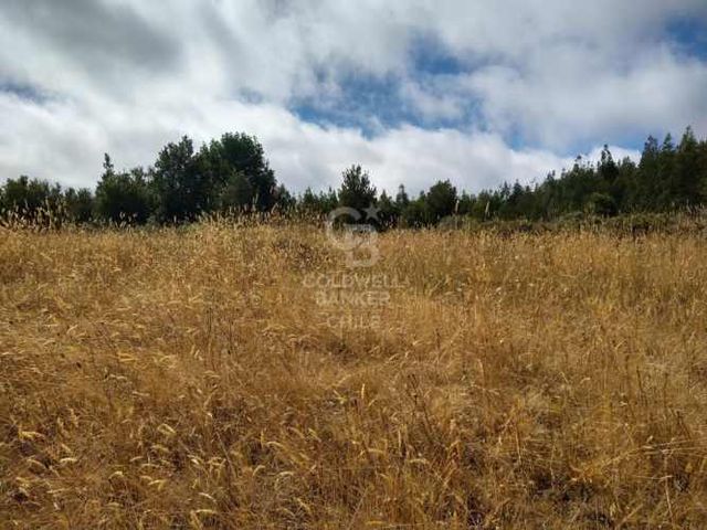 Parcela a orilla de rio con 8000mtr2 c/u