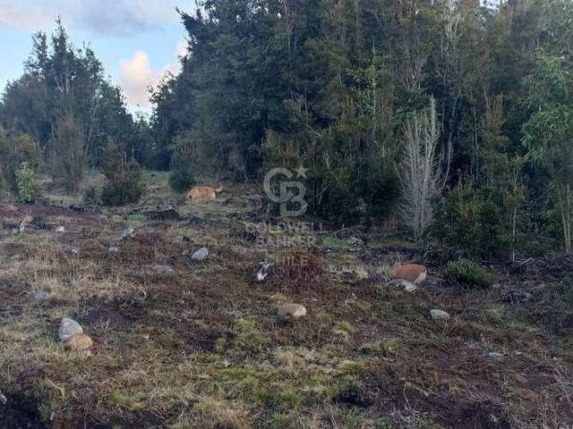 Parcela de 5000 m2, en condominio, con acceso controlado