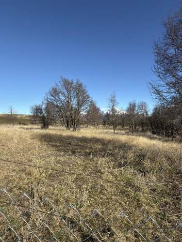 Parcela en valle Simpson