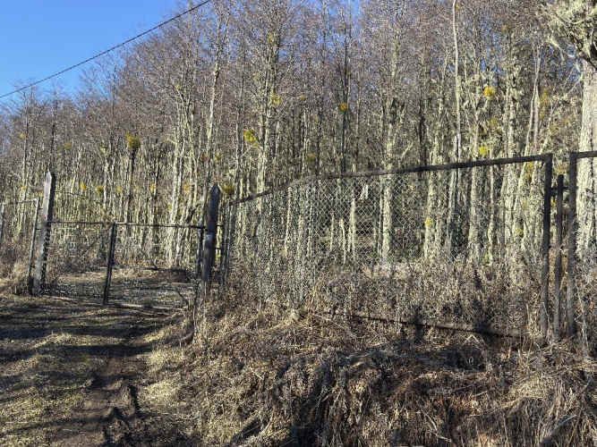 Parcela en la Cordonada
