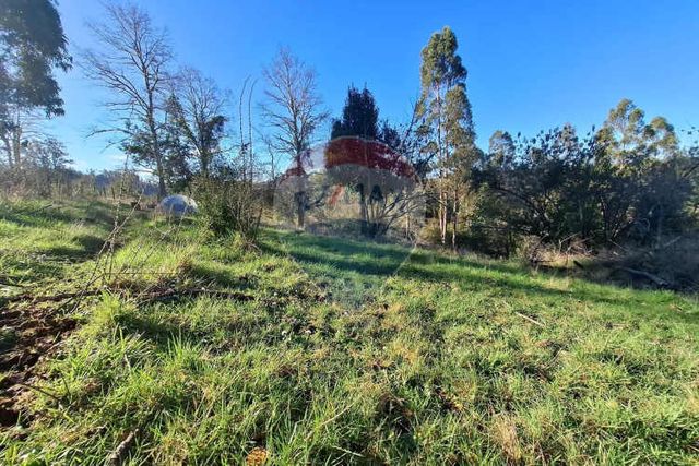 Oportunidad única venta 9,9 ht de tierra indígena